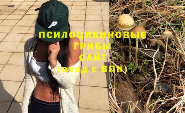 ПСИЛОЦИБИНОВЫЕ ГРИБЫ Балабаново
