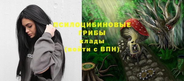 ПСИЛОЦИБИНОВЫЕ ГРИБЫ Балабаново