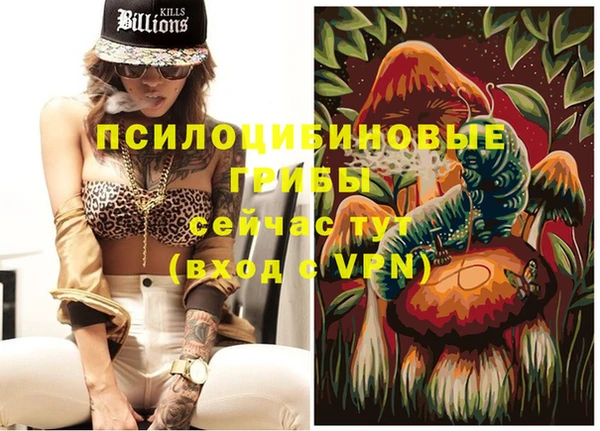 ПСИЛОЦИБИНОВЫЕ ГРИБЫ Балабаново