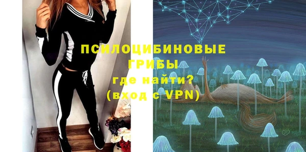 ПСИЛОЦИБИНОВЫЕ ГРИБЫ Балабаново