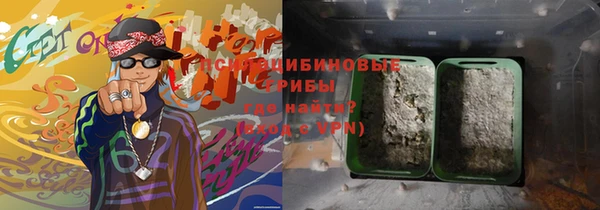 ПСИЛОЦИБИНОВЫЕ ГРИБЫ Балабаново