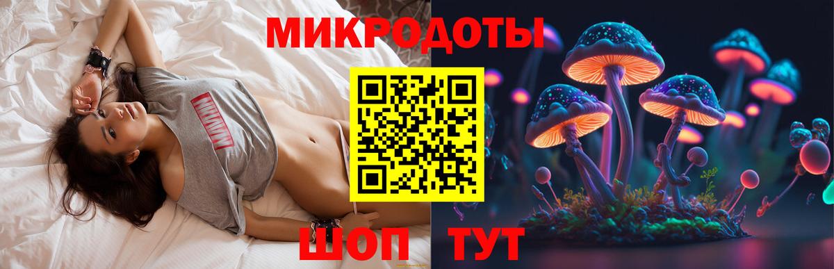 Дальнегорск  Псилоцибиновые грибы прущие грибы  что такое наркотик  Галлюциногенные грибы ЛСД  Вход с VPN 