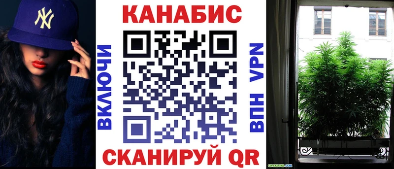 Канабис планчик  Дальнегорск 
